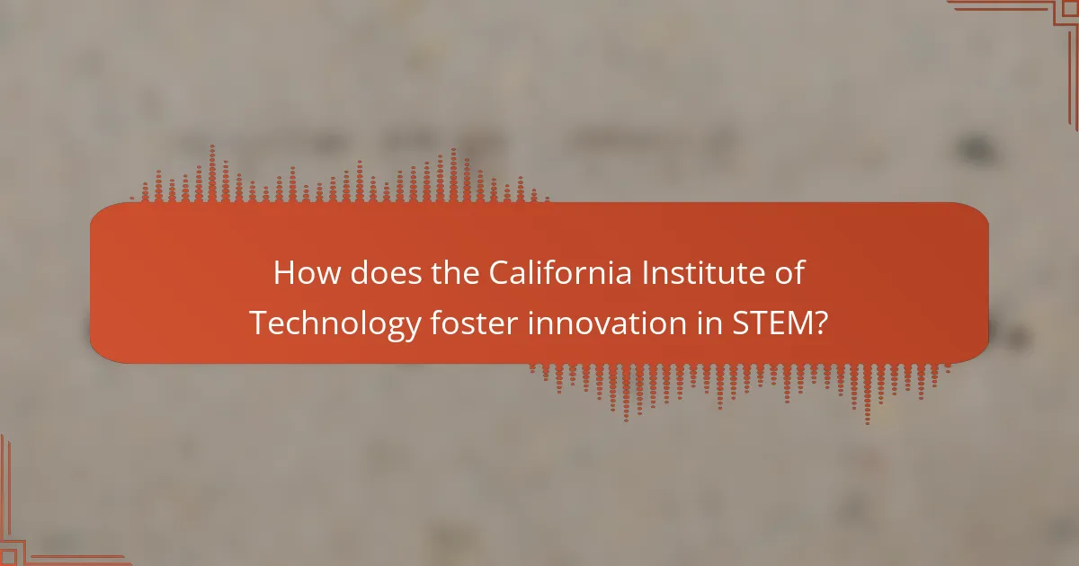 How does the California Institute of Technology foster innovation in STEM?