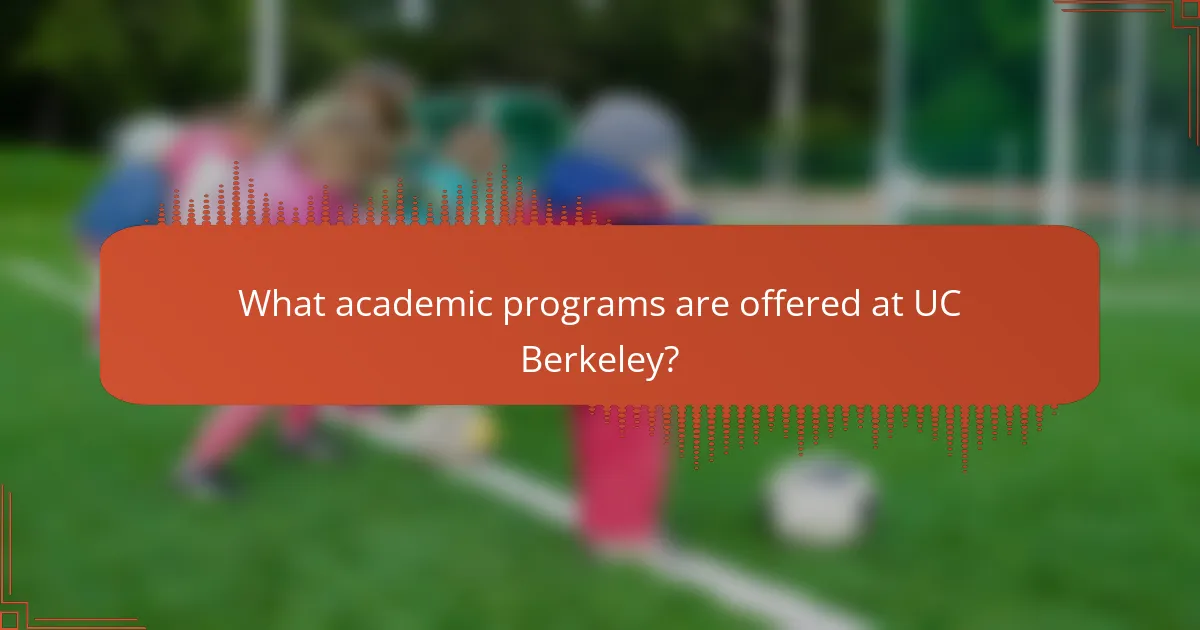 What academic programs are offered at UC Berkeley?