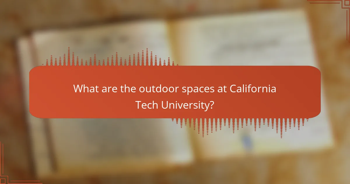 What are the outdoor spaces at California Tech University?