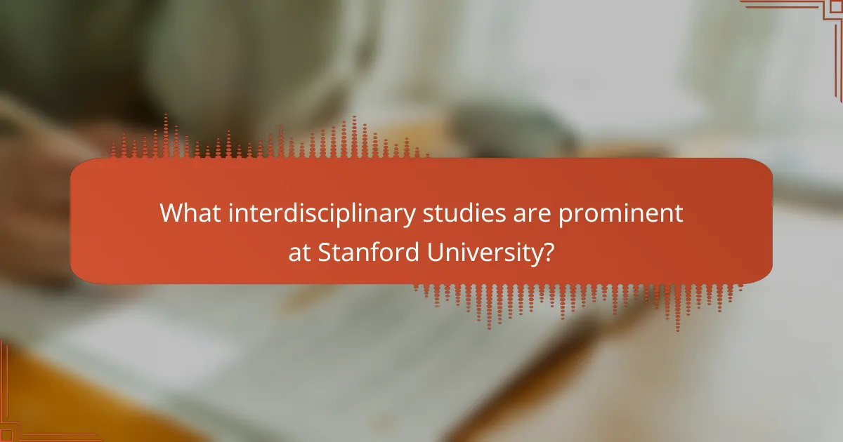 What interdisciplinary studies are prominent at Stanford University?